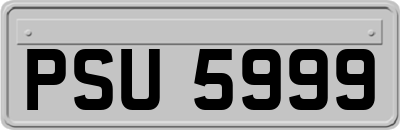 PSU5999