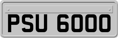 PSU6000