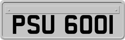 PSU6001