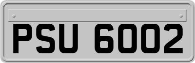 PSU6002