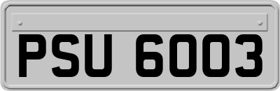 PSU6003