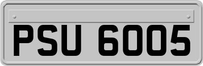 PSU6005