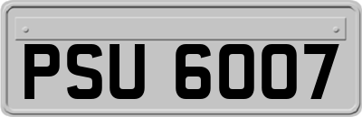 PSU6007