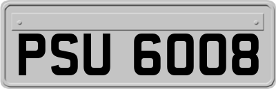 PSU6008