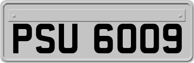PSU6009