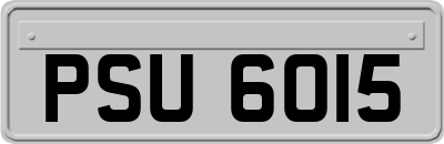 PSU6015