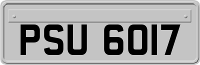 PSU6017
