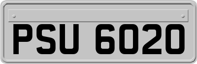 PSU6020