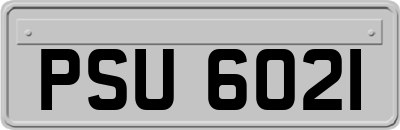 PSU6021