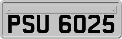 PSU6025