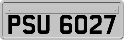 PSU6027