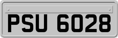 PSU6028