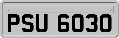 PSU6030