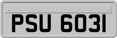 PSU6031