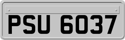 PSU6037