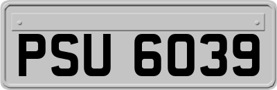 PSU6039