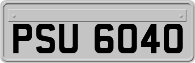 PSU6040