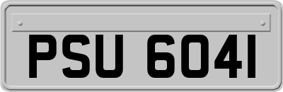 PSU6041