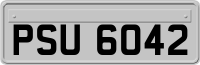 PSU6042