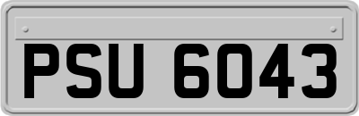 PSU6043