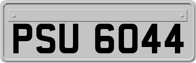 PSU6044