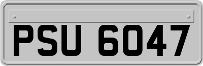 PSU6047
