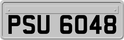 PSU6048