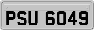PSU6049