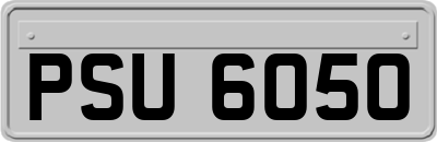 PSU6050