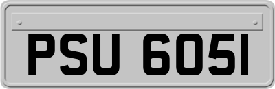PSU6051