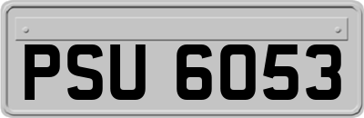 PSU6053