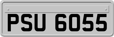 PSU6055