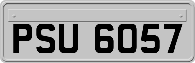 PSU6057