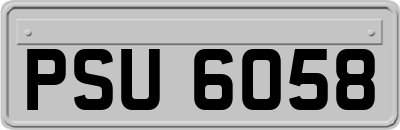 PSU6058
