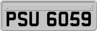 PSU6059