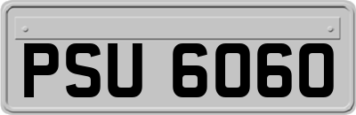 PSU6060
