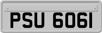 PSU6061