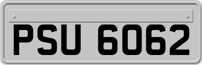 PSU6062