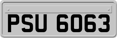 PSU6063