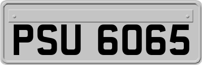 PSU6065