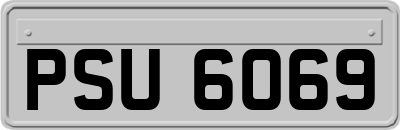 PSU6069