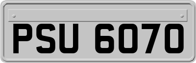 PSU6070