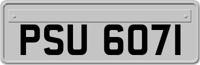 PSU6071