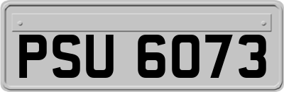PSU6073
