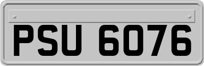 PSU6076