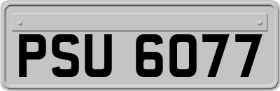 PSU6077