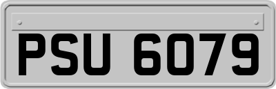 PSU6079