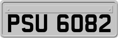 PSU6082