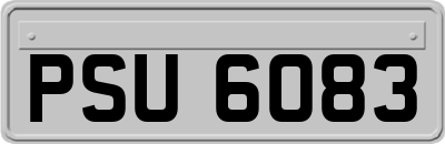 PSU6083