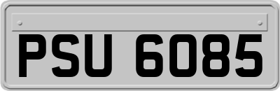 PSU6085